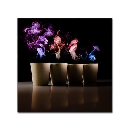 Trademark Fine Art Marc Huybrighs 'Demons' Canvas Art, 14x14 1X00615-C1414GG